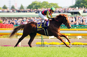 Orfevre