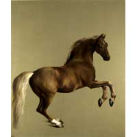 Whistlejacket