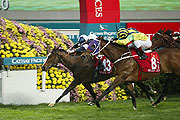 Hong Kong Cup winners