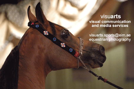 Visuarts