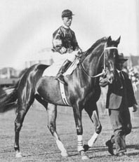 Phar Lap