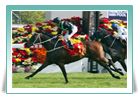 Hong Kong Sprint winners